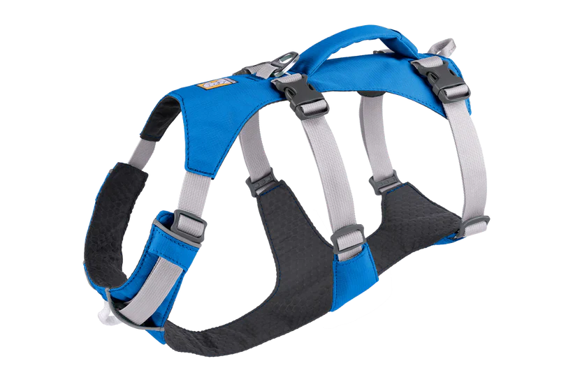 Flagline Harness - Blue Dusk - Image 2