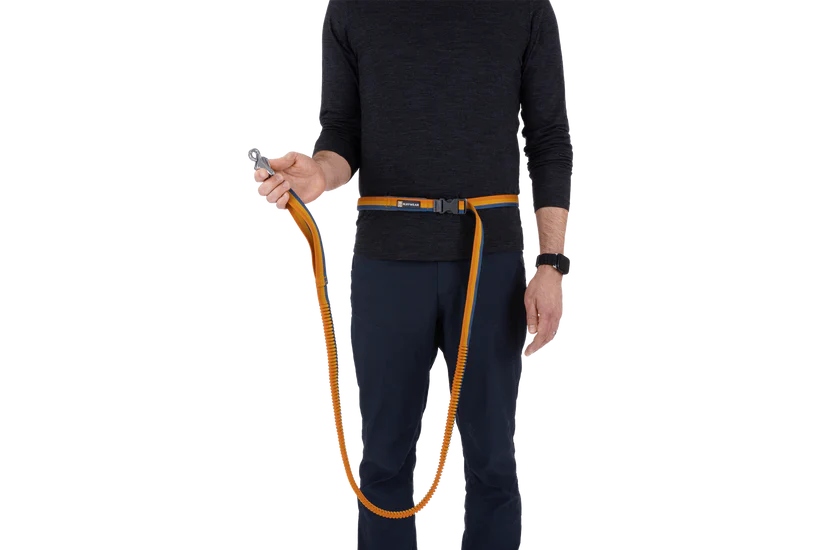 Roamer Bungee Dog Lead - Yellow - Image 7