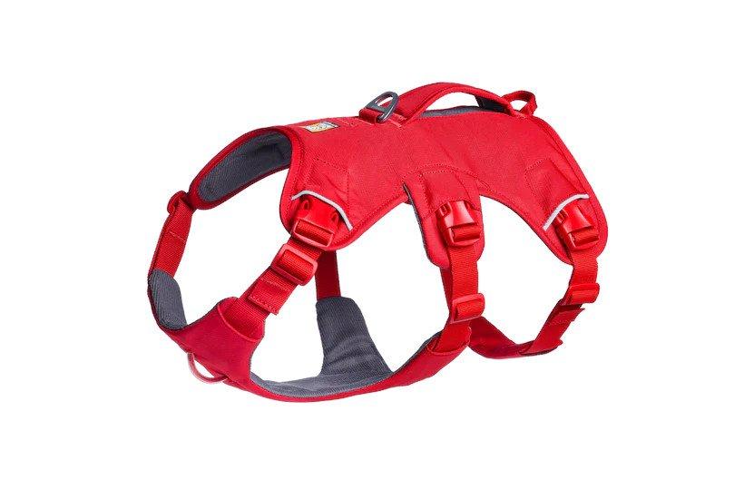Web Master Harness - Red - Image 2